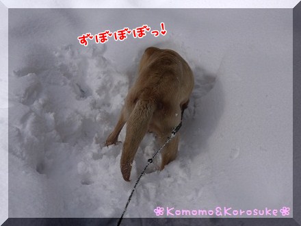ずぼぼぼぼっ！