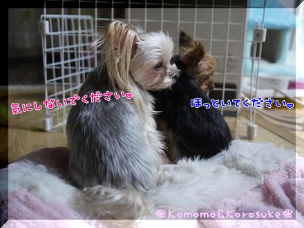 ほっといて