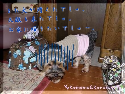 どんより