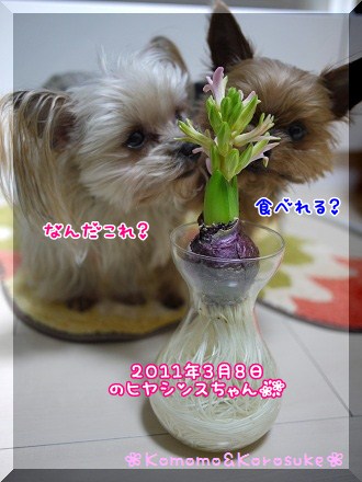 なんだこれ？