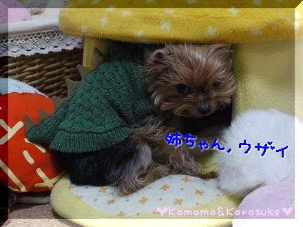 ウザイ