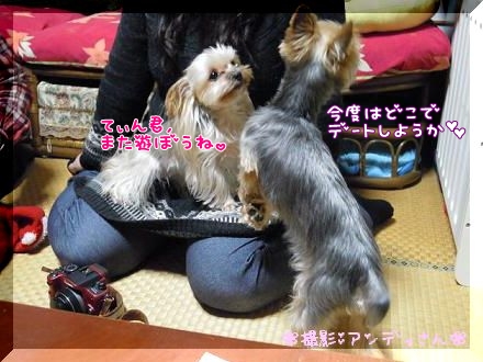 いちゃいちゃ