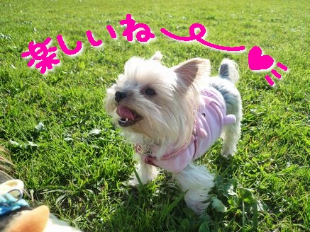 楽しいね