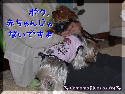 赤ちゃん