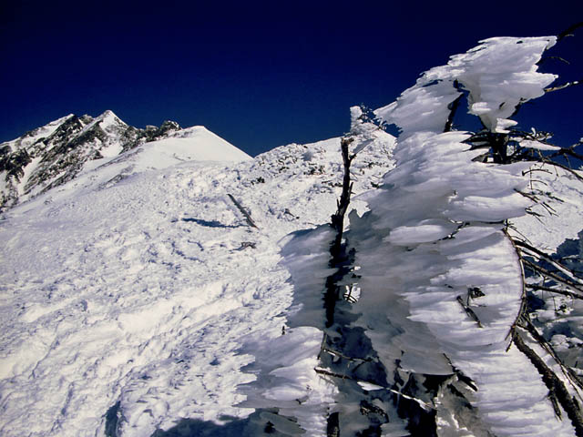 海老の尻尾と西穂高岳