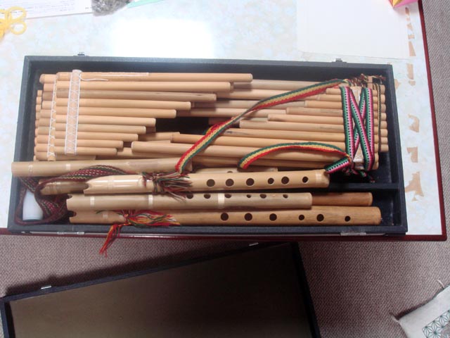 楽器ケースを開けたところ