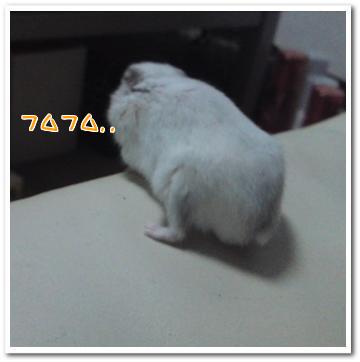 確認.jpg