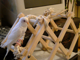 sy200812283106b.jpg