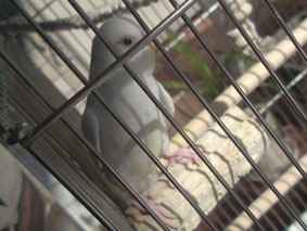 sy2009012510b.jpg