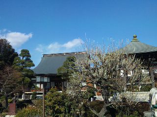 お婆ちゃんの菩提寺