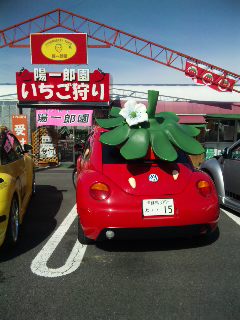 いちごビートルがお出迎え♪