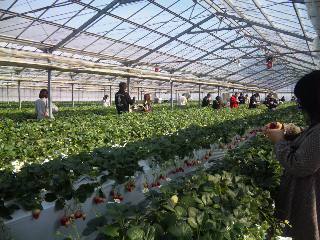 広～いハウス内(^_^)