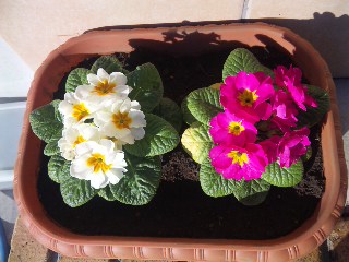 今日のジュリアン(^_^)