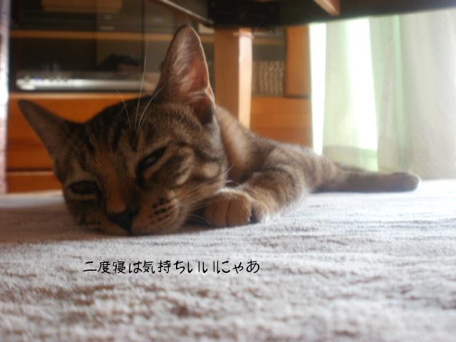携帯画像 679.jpg