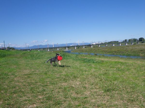 IMGP4969.jpg
