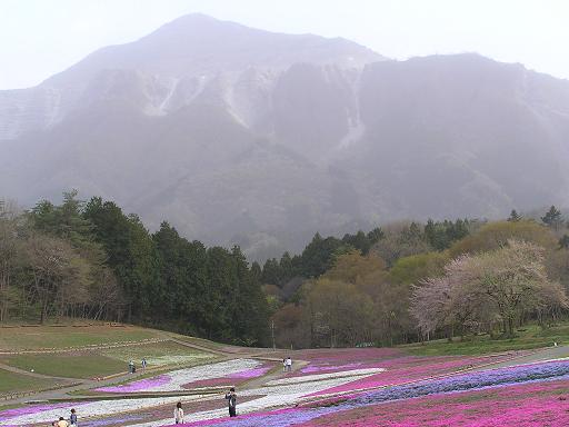 秩父17武甲山.jpg