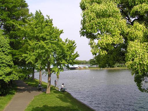 水元公園 013.JPG