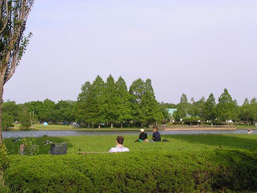 水元公園 015.JPG