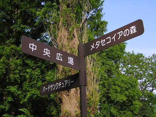 水元公園 034.JPG