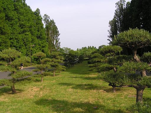 水元公園 027.JPG