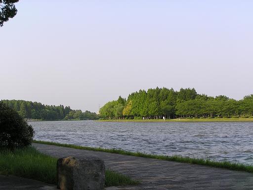 水元公園 044.JPG