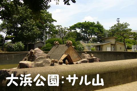大浜公園
