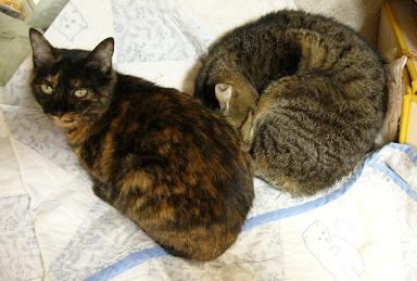 珍しい2ショット