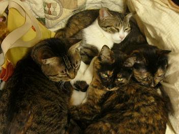 これは珍しい組み合わせ！