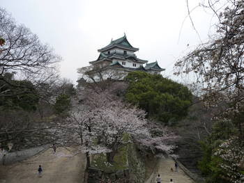 和歌山城