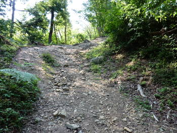 小谷城1