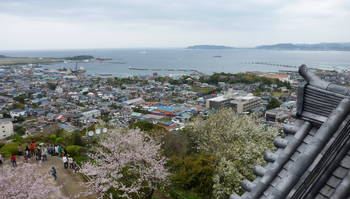 館山城