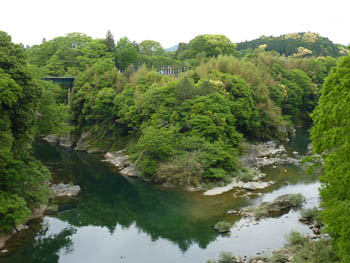 長篠城跡全景