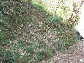 蒲原城