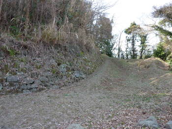 蒲原城