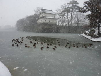 新発田城2