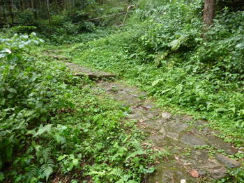 月山富田城2