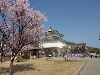 甲府城3