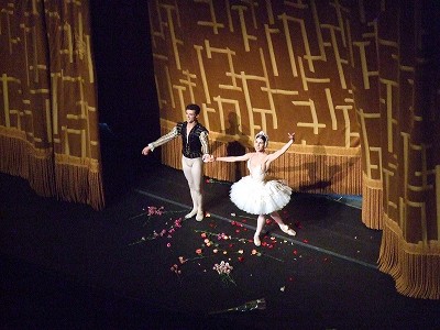 SWAN LAKE