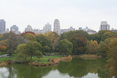 紅葉３