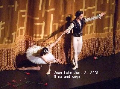 Swan Lake 3