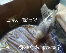 出窓３
