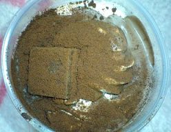 チョコバナナのアップ