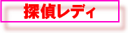 探偵レディ・バナー