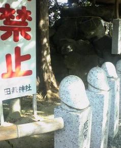 田縣神社珍小/石柱寄進