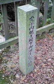 ２００７大県神社初詣、愛子さま誕生記念植樹