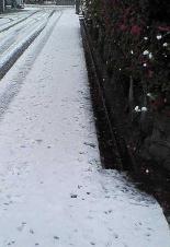 ２００７初雪　路面冠雪