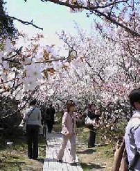 おもろ通り