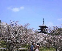 五重塔