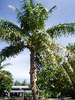2005-09-28 10:49:34