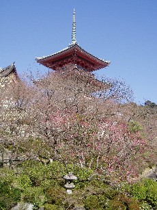 P1010680.JPG